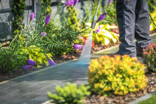 Best Residential Pressure Washing in Harrisonville, MO