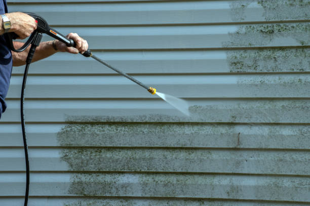 Best Roof Cleaning and Mildew Removal in Harrisonville, MO